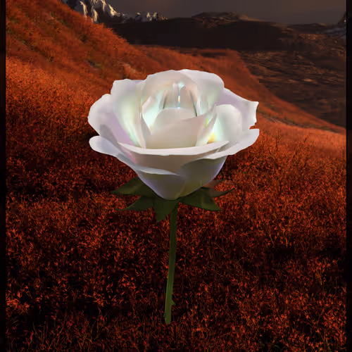 Eternal Rose 612