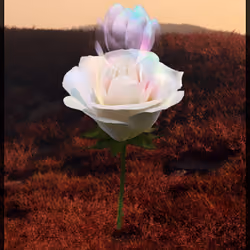 Eternal Rose 613