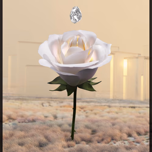 Eternal Rose 63