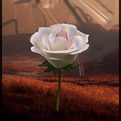 Eternal Rose 616