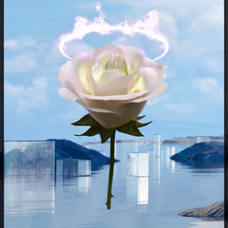 Eternal Rose 557