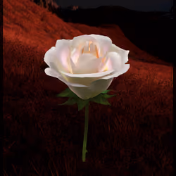Eternal Rose 802