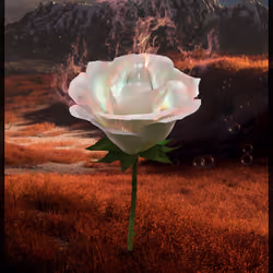 Eternal Rose 887