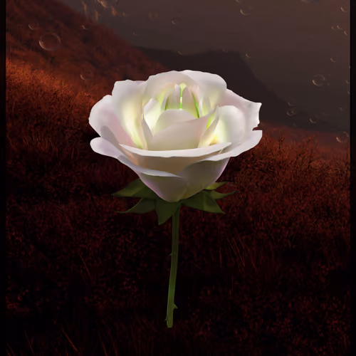 Eternal Rose 545