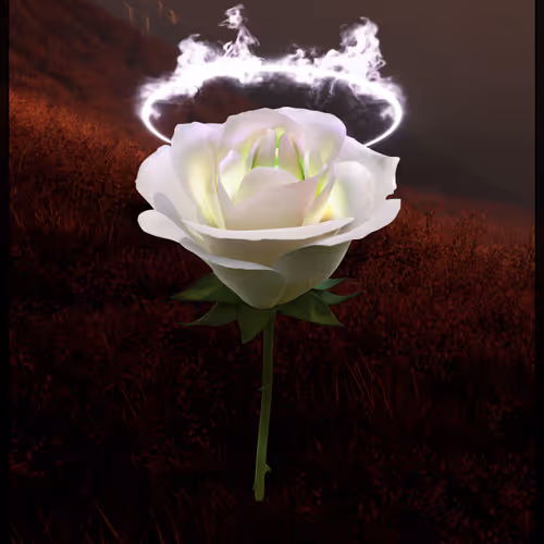 Eternal Rose 53