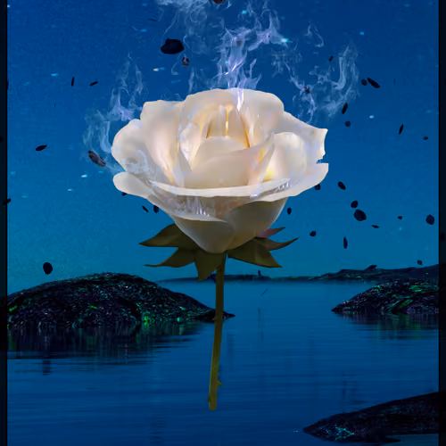 Eternal Rose 83