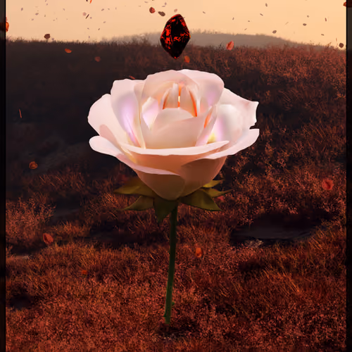 Eternal Rose 16