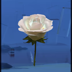 Eternal Rose 576