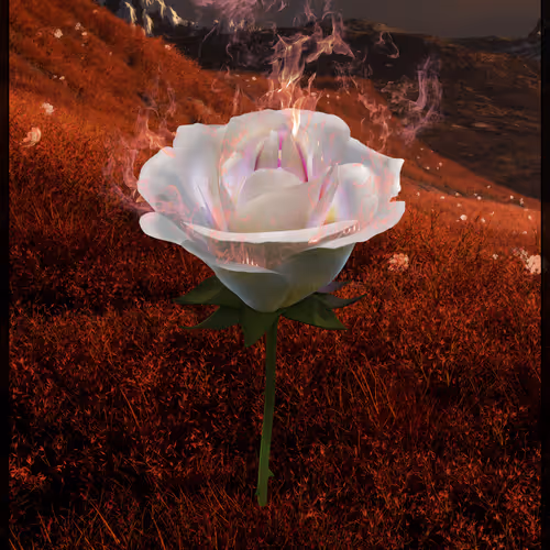Eternal Rose Nft