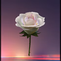 Eternal Rose 790
