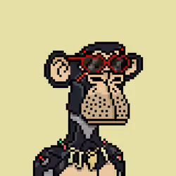 Maybe Apes #6637