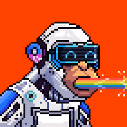 7904