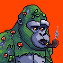 GalacticApe #9837