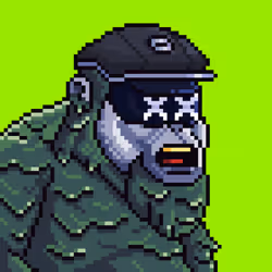 3020