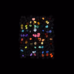 Butterflies — Based on Checks by VV 24/1500