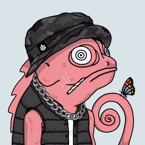 Chameleons 984670217