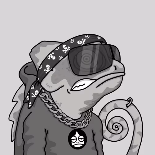 Chameleons 984670217