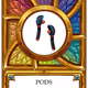 36
