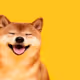Zordog