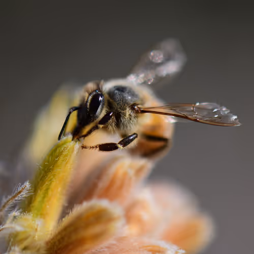 Unidentified contract - 5XlwxioDc7