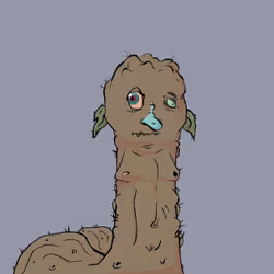 589