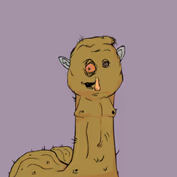 681