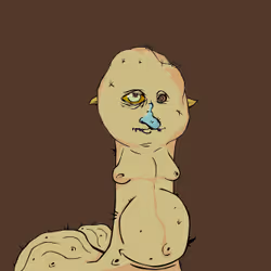 567