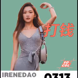 IreneDAO Pass #313