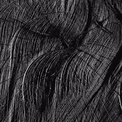 Textures #7
