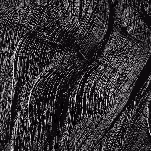 Textures #7