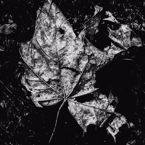 Textures #3
