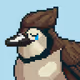 Birds of ETH #2119