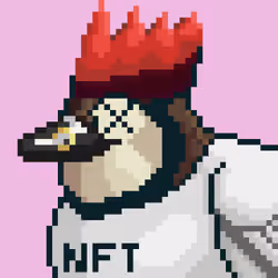 Birds of ETH #4010