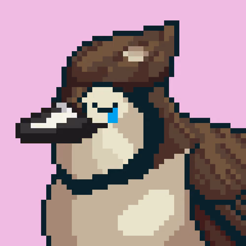 Birds of ETH #4037