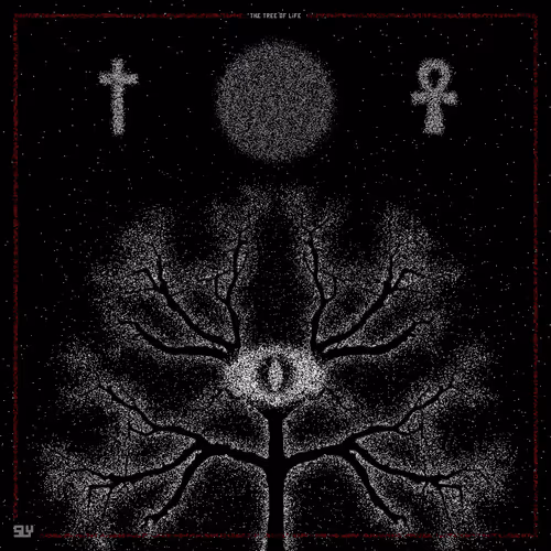 Particles of the universe