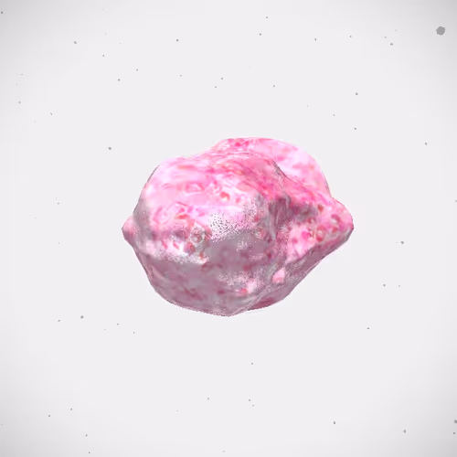 Item #300 Media