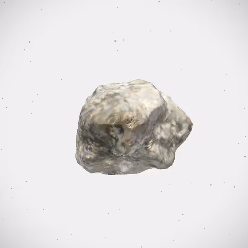 Item #337 Media