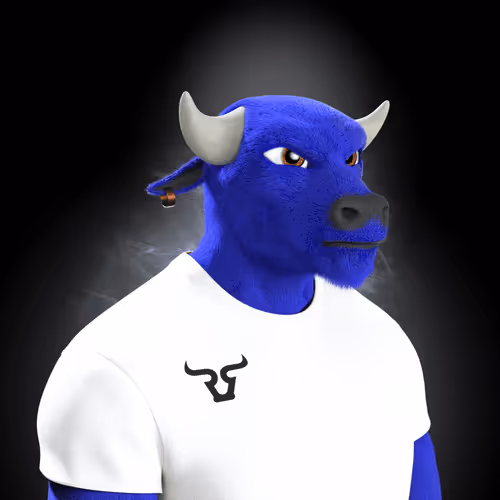 Bullrunnersclub