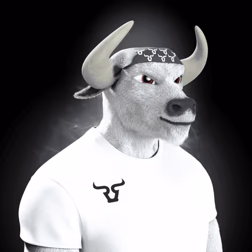 Bullrunnersclub
