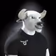 8246