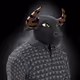 3544