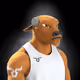 BullRunner #6186