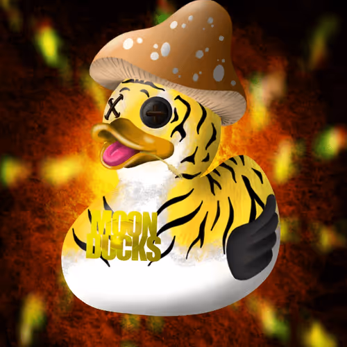 Moonducks Social Metaverse