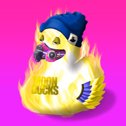 Moonducks Social Metaverse