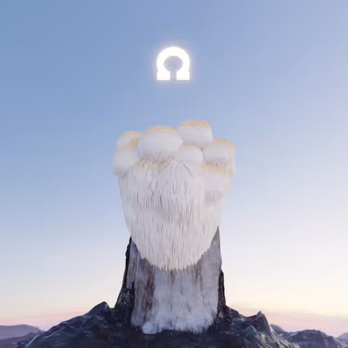 Lion's Mane Mushrohm