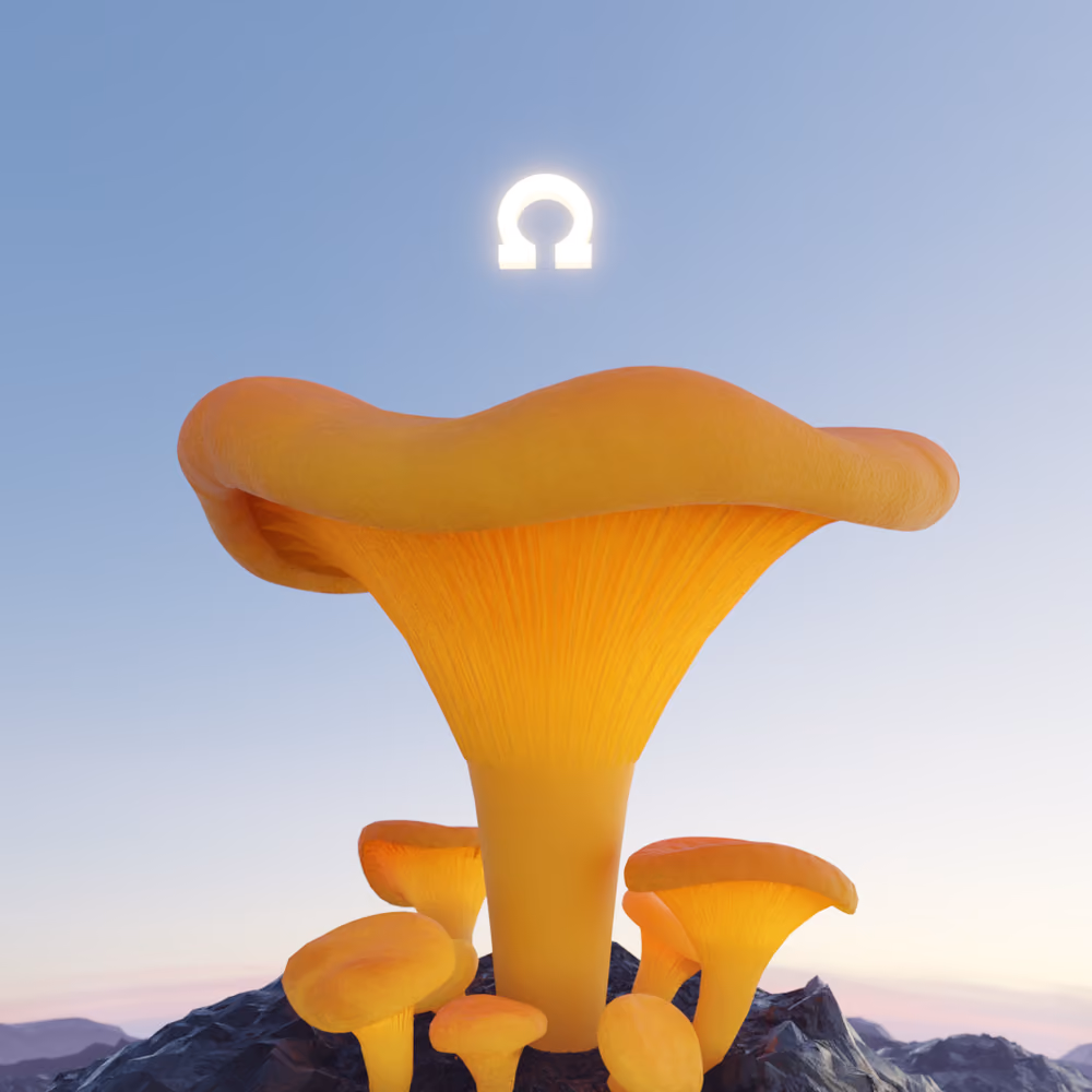 Chanterelle Mushrohm