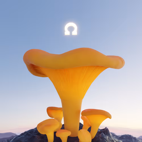 Chanterelle Mushrohm