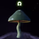 1427