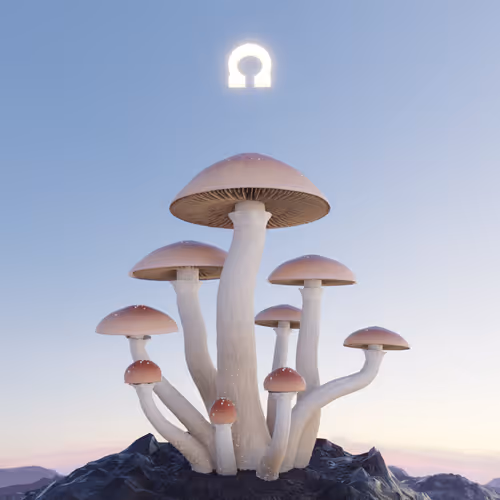 Mushrohms