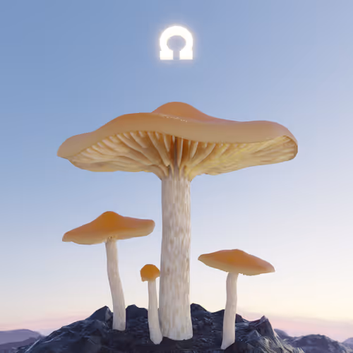 Mushrohms